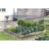 Moestuin Groentekooi - 120 × 120 Cm 2 Moestuin Groentekooi - 120 × 120 Cm -DCM Verkoopwinkel 1498562862 1 600