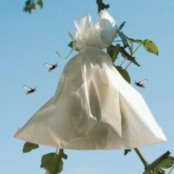 Fruithoezen 17 × 22 Cm Micropapier - Set Van 50 Stuks 11 Fruithoezen 17 × 22 Cm Micropapier - Set Van 50 Stuks -DCM Verkoopwinkel 1523459561 2 600