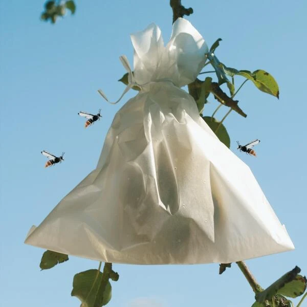 Fruithoezen 17 × 22 Cm Micropapier - Set Van 50 Stuks 6 Fruithoezen 17 × 22 Cm Micropapier - Set Van 50 Stuks - Afbeelding 4