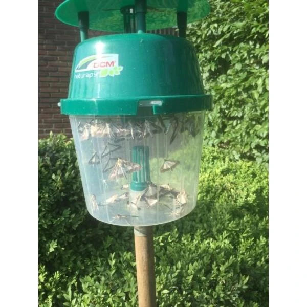 DCM Buxusmottenval Hangen Of Staan 2 DCM Buxusmottenval Hangen Of Staan