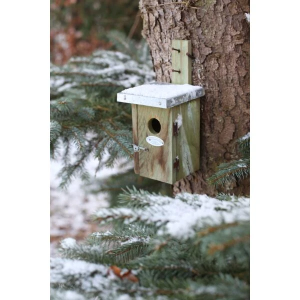 ESSCHERT DESIGN Nestkast Winterkoning Met Zinken Dak 4 ESSCHERT DESIGN Nestkast Winterkoning Met Zinken Dak - Afbeelding 2