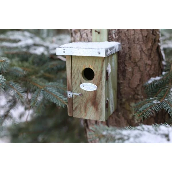 ESSCHERT DESIGN Nestkast Winterkoning Met Zinken Dak 5 ESSCHERT DESIGN Nestkast Winterkoning Met Zinken Dak - Afbeelding 3