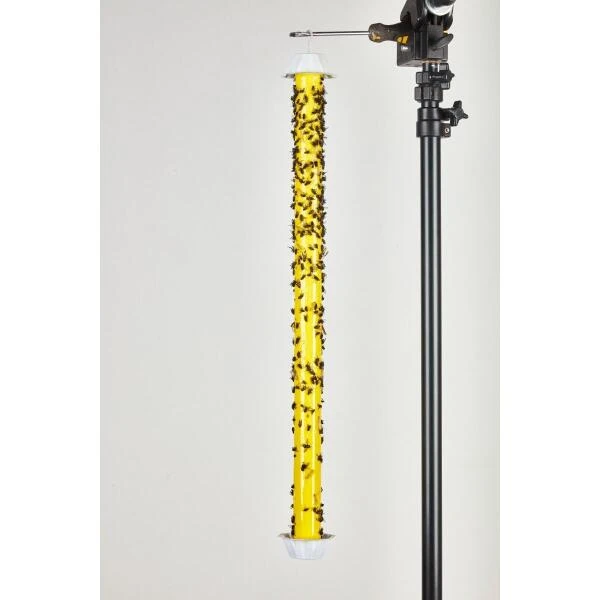 Vliegenstick XL - 60 Cm 4 Vliegenstick XL - 60 Cm - Afbeelding 2