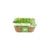 Box Healthy Herb - Peterselie 2 Box Healthy Herb - Peterselie -DCM Verkoopwinkel 1640856818 1 600