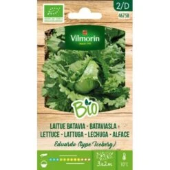 Bataviasla Eduardo (type Iceberg) BIO