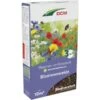 DCM Bloemen- En Graszaad - 10 M² -DCM Verkoopwinkel 1675762326 1 600