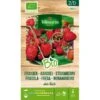 Aardbei Des Bois BIO -DCM Verkoopwinkel aardbei des bois bio 1646839542 213 600