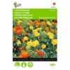 Afrikaan Bonita - Tagetes Patula Nana 1 Afrikaan Bonita - Tagetes Patula Nana -DCM Verkoopwinkel afrikaan bonita tagetes patula nana 1646840331 447 600