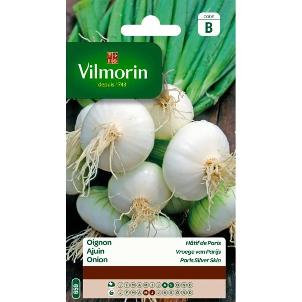 Ajuin Vroege Witte Van Parijs 3 Ajuin Vroege Witte Van Parijs