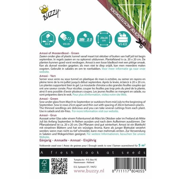 Amsoi Mung Choi Groen - Brassica Juncea Var. Rugosa 4 Amsoi Mung Choi Groen - Brassica Juncea Var. Rugosa - Afbeelding 2