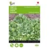Andijvie Breedblad Volhart Winter - Cichorium Endivia 2 Andijvie Breedblad Volhart Winter - Cichorium Endivia -DCM Verkoopwinkel andijvie breedblad volhart winter cichorium endivia 1646840314 69 600