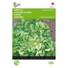 Andijvie Nummer Vijf - Cichorium Endivia -DCM Verkoopwinkel andijvie nummer vijf cichorium endivia 1646840314 71 600