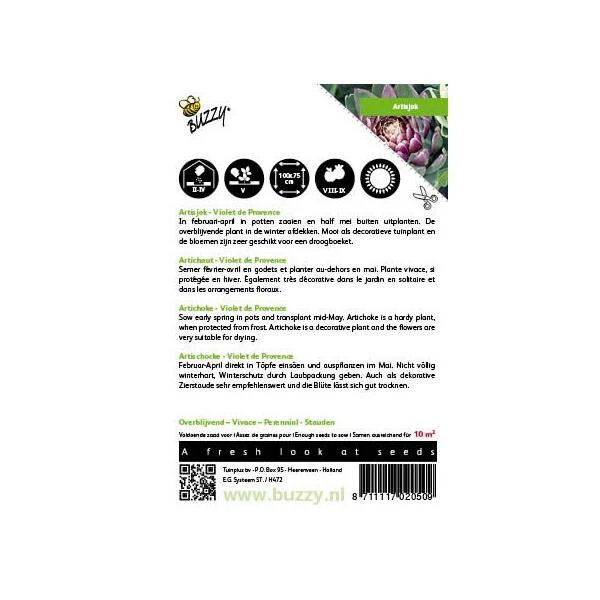 Artisjok Violet De Provence - Cynara Scolymus 4 Artisjok Violet De Provence - Cynara Scolymus - Afbeelding 2