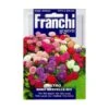 Astro Nano Merveille Mix - Aster Mengsel -DCM Verkoopwinkel astro nano merveille mix aster mengsel 1646840374 1387 600