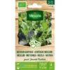 Aziatische Mesclun BIO 2 Aziatische Mesclun BIO -DCM Verkoopwinkel aziatische mesclun bio 1646393731 1 600