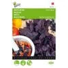 Basilicum Dark Opal - Ocimum Basilicum -DCM Verkoopwinkel basilicum dark opal ocimum basilicum 1646840311 9 600