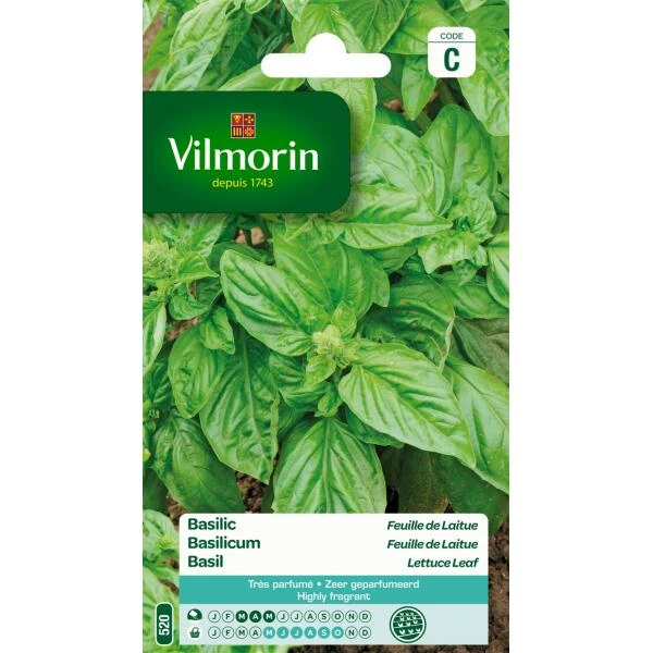 Basilicum Feuille De Laitue - Ocimum Basilicum 3 Basilicum Feuille De Laitue - Ocimum Basilicum