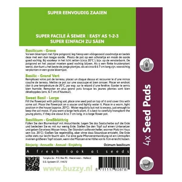 Basilicum Genovese - 4 Zaadpads 4 Basilicum Genovese - 4 Zaadpads - Afbeelding 2