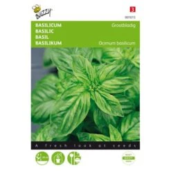 Basilicum Grove - Ocimum Basilicum