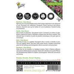 Basilicum Siam Queen - Ocimum Basilicum 5 Basilicum Siam Queen - Ocimum Basilicum -DCM Verkoopwinkel basilicum siam queen ocimum basilicum 1646840312 16 600