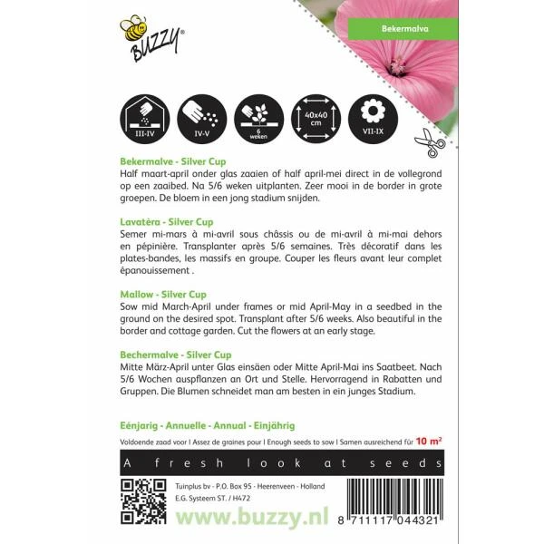 Bekermalva Silver Cup - Lavatera Trimestris 4 Bekermalva Silver Cup - Lavatera Trimestris - Afbeelding 2