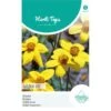Bidens Golden Eye - Bidens Humilis -DCM Verkoopwinkel bidens golden eye bidens humilis 1646840359 1034 600