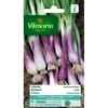 Bieslook Rode - Allium Fistulosum -DCM Verkoopwinkel bieslook rode allium fistulosum 1646839529 121 600