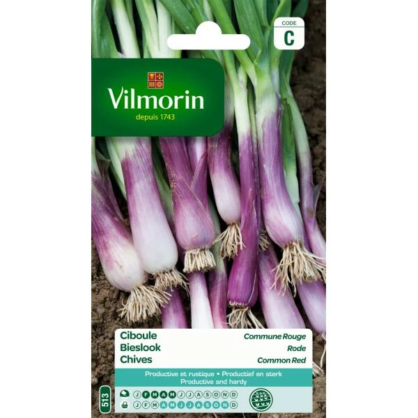 Bieslook Rode - Allium Fistulosum 3 Bieslook Rode - Allium Fistulosum