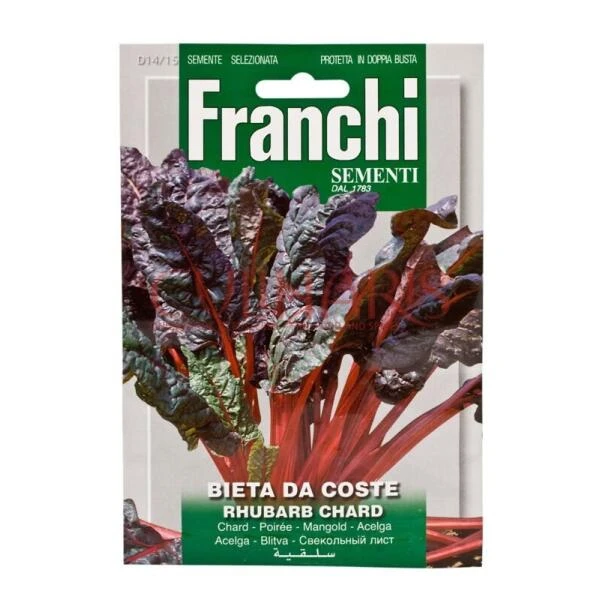 Bietola Da Coste Rhubarb Chard - Rode Snijbiet 3 Bietola Da Coste Rhubarb Chard - Rode Snijbiet