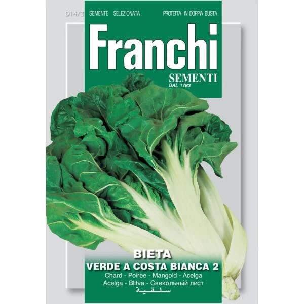 Bietola Verde A Costa Bianca 2 - Groene Snijbiet 3 Bietola Verde A Costa Bianca 2 - Groene Snijbiet