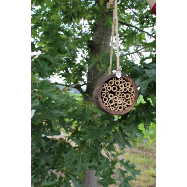 Bijenhotel - Bijenvat 6 Bijenhotel - Bijenvat - Afbeelding 4