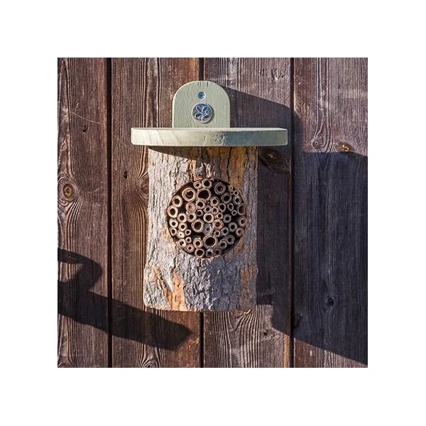 Bijenkast Boomstam - National Trust 3 Bijenkast Boomstam - National Trust