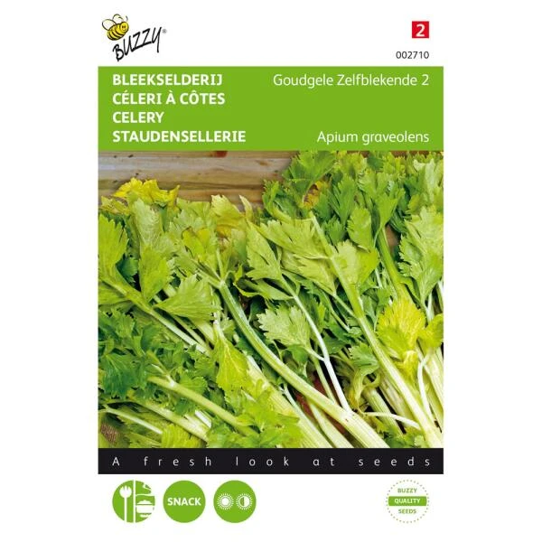 Bleekselderie Goudgele Zelfblekende - Apium Graveolens 3 Bleekselderie Goudgele Zelfblekende - Apium Graveolens
