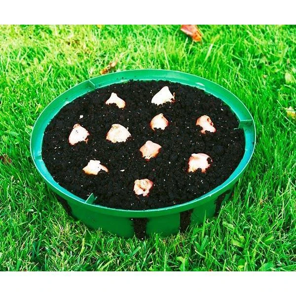 Bollenplantmanden - Set Van 3 Stuks 6 Bollenplantmanden - Set Van 3 Stuks - Afbeelding 4