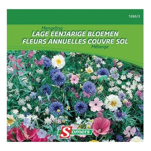Bloemenmix - Laag éénjarig 20 M² 3 Bloemenmix - Laag éénjarig 20 M²