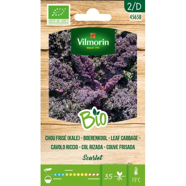 Boerenkool Scarlet BIO 3 Boerenkool Scarlet BIO