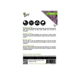 Boerenkool Scarlet Paars 5 Boerenkool Scarlet Paars -DCM Verkoopwinkel boerenkool scarlet paars 1646840382 1509 600