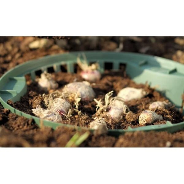 Bloembollenmand Stapelbaar 27 Cm 4 Bloembollenmand Stapelbaar 27 Cm - Afbeelding 2