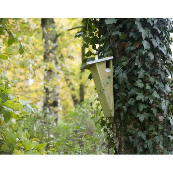 ESSCHERT DESIGN Nestkast Boomkruiper 4 ESSCHERT DESIGN Nestkast Boomkruiper - Afbeelding 2