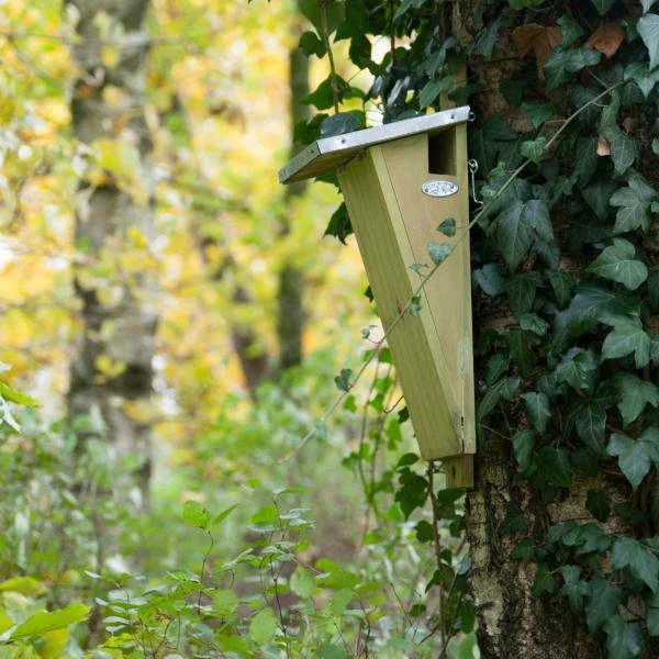 ESSCHERT DESIGN Nestkast Boomkruiper 7 ESSCHERT DESIGN Nestkast Boomkruiper - Afbeelding 5