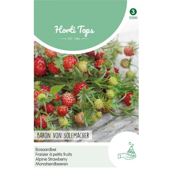 Bosaardbei Baron Von Solemacher - Fragaria Vesca 3 Bosaardbei Baron Von Solemacher - Fragaria Vesca