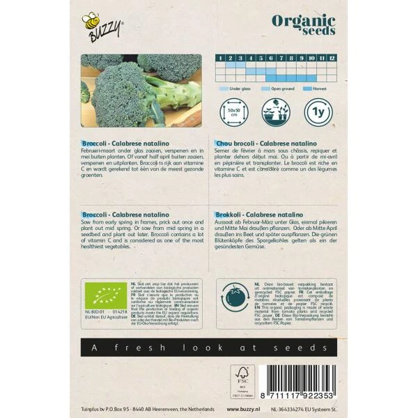 Broccoli Calabrese Natalino BIO 4 Broccoli Calabrese Natalino BIO - Afbeelding 2