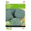 Broccoli Groene Calabria - Brassica Oleracea -DCM Verkoopwinkel broccoli groene calabria brassica oleracea 1646840316 99 600