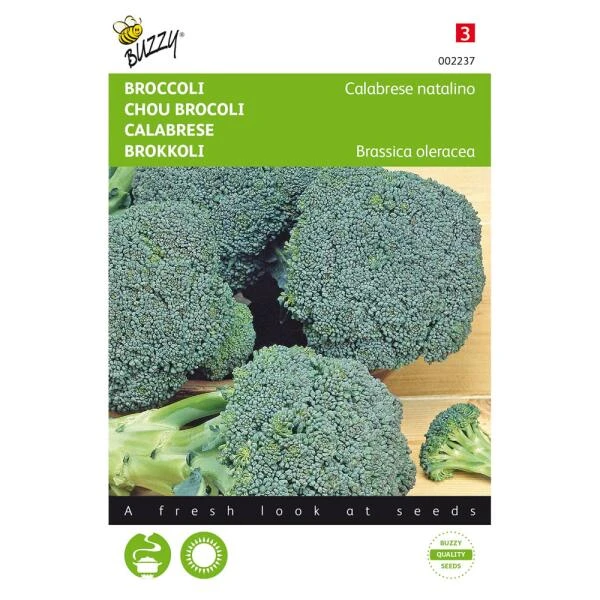 Broccoli Groene Calabria - Brassica Oleracea 3 Broccoli Groene Calabria - Brassica Oleracea