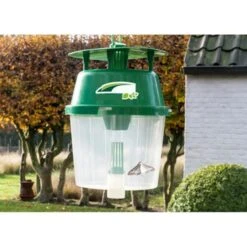 DCM Buxusmottenval Hangen Of Staan 8 DCM Buxusmottenval Hangen Of Staan -DCM Verkoopwinkel buxusmottenval 2 feromooncapsules 1548846669 1 600