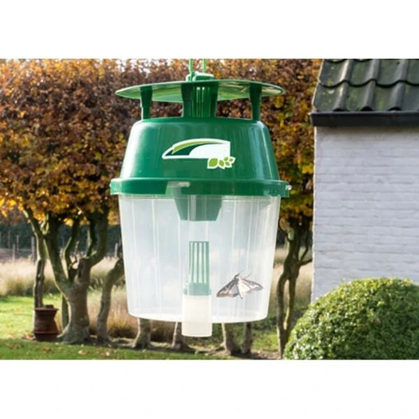 DCM Buxusmottenval Hangen Of Staan 4 DCM Buxusmottenval Hangen Of Staan - Afbeelding 3