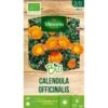Calendula BIO - Goudsbloem 2 Calendula BIO - Goudsbloem -DCM Verkoopwinkel calendula bio 1646400356 1 600