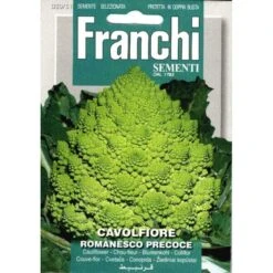Cavolfiore Romanesco Precoce - Romanesco