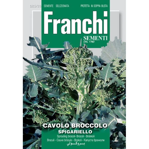 Cavolo Broccolo Spigariello - Bloeiende Broccoli 3 Cavolo Broccolo Spigariello - Bloeiende Broccoli