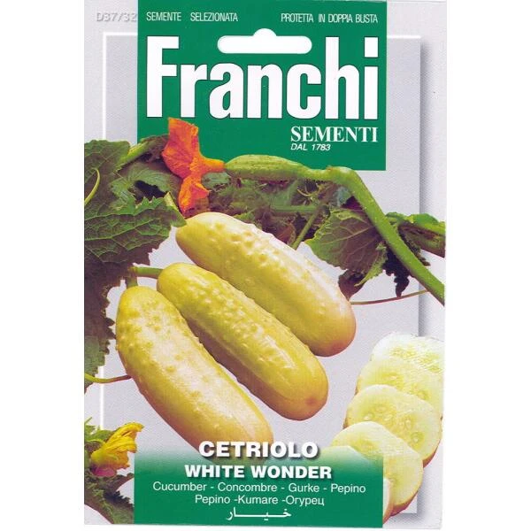 Cetriolo White Wonder - Komkommer Wit 3 Cetriolo White Wonder - Komkommer Wit
